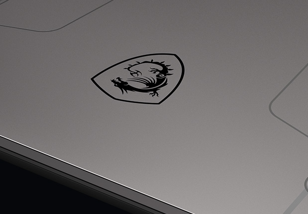 Pulse GL66 Leopard