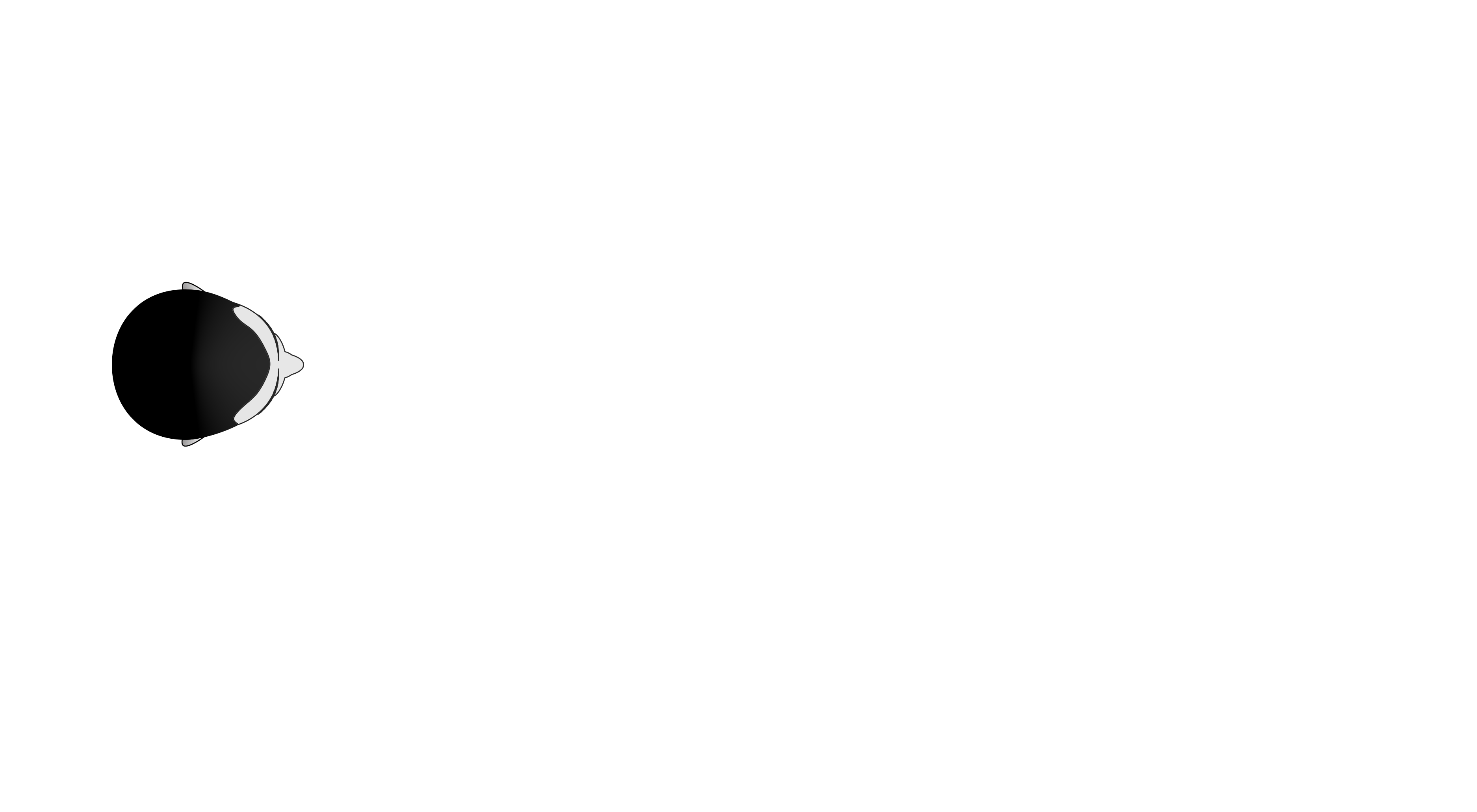 Spatial Array Microphone